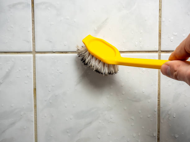 Best Water Damage Restoration  in Poquoson, VA
