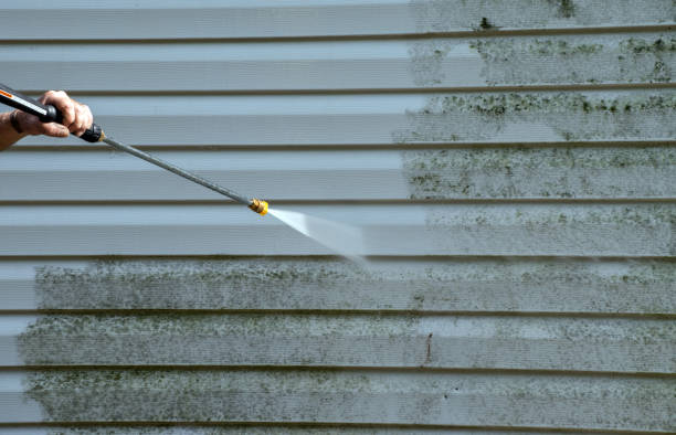 Best Commercial Mold Removal  in Poquoson, VA