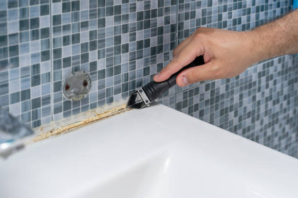 Best Fast Mold Removal  in Poquoson, VA