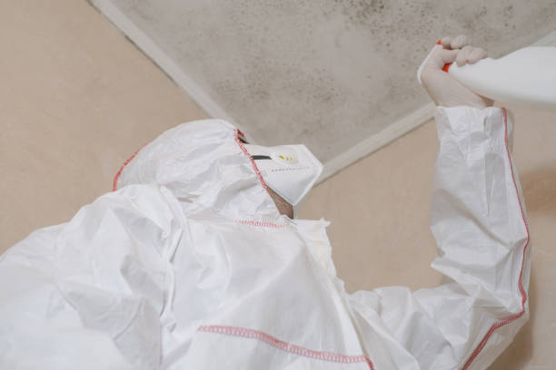 Best Mold Testing  in Poquoson, VA