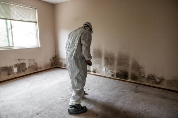 Certified Mold Removal in Poquoson, VA