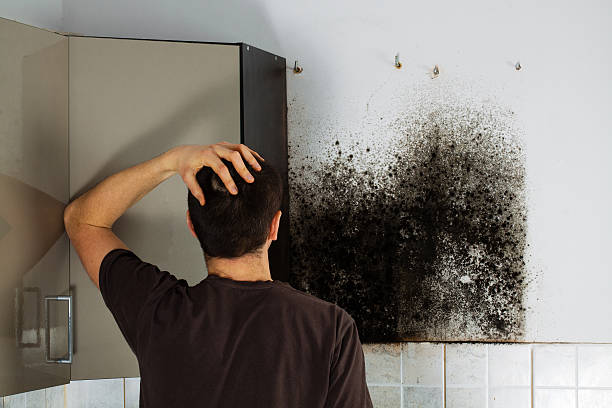 Best Mold Removal Near Me  in Poquoson, VA