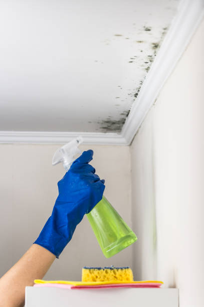 Best Crawl Space Mold Removal  in Poquoson, VA